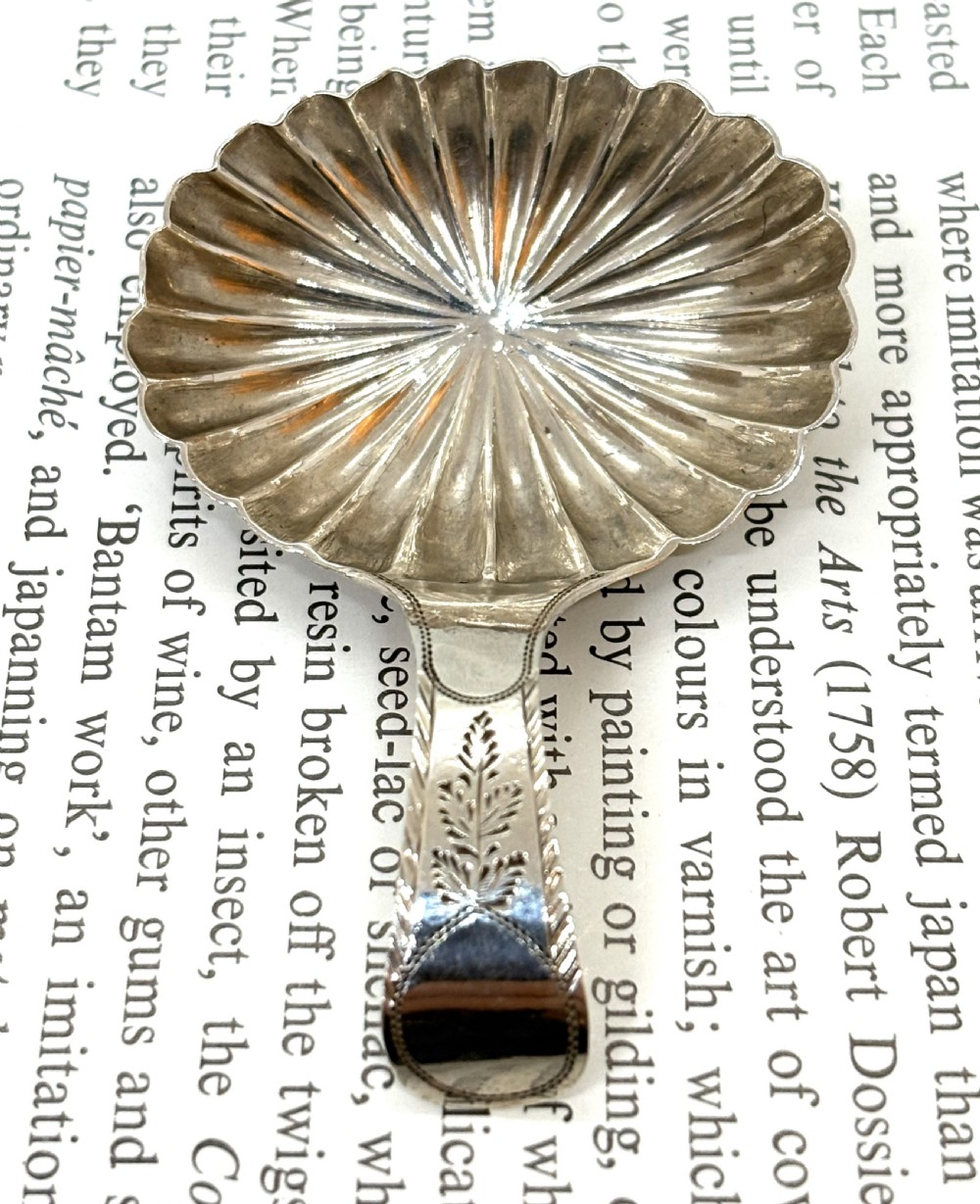 An antique Georgian sterling silver caddy spoon featuring a fluted shell-shaped bowl and a short bright-cut engraved handle. View II