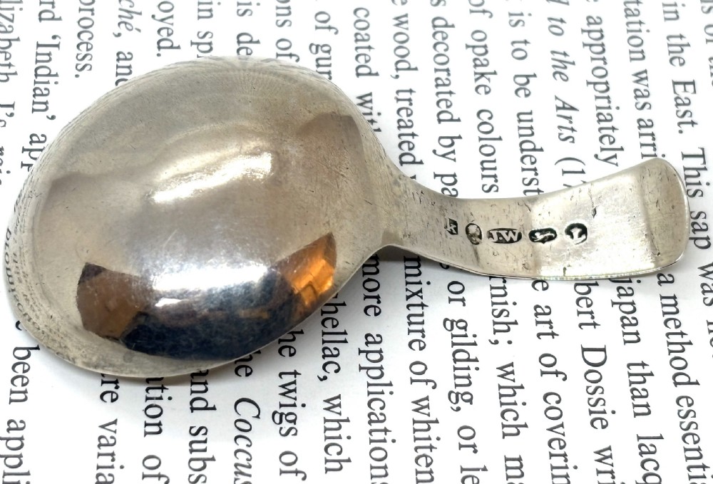 Georgian Silver Tea Caddy Spoon View IV
