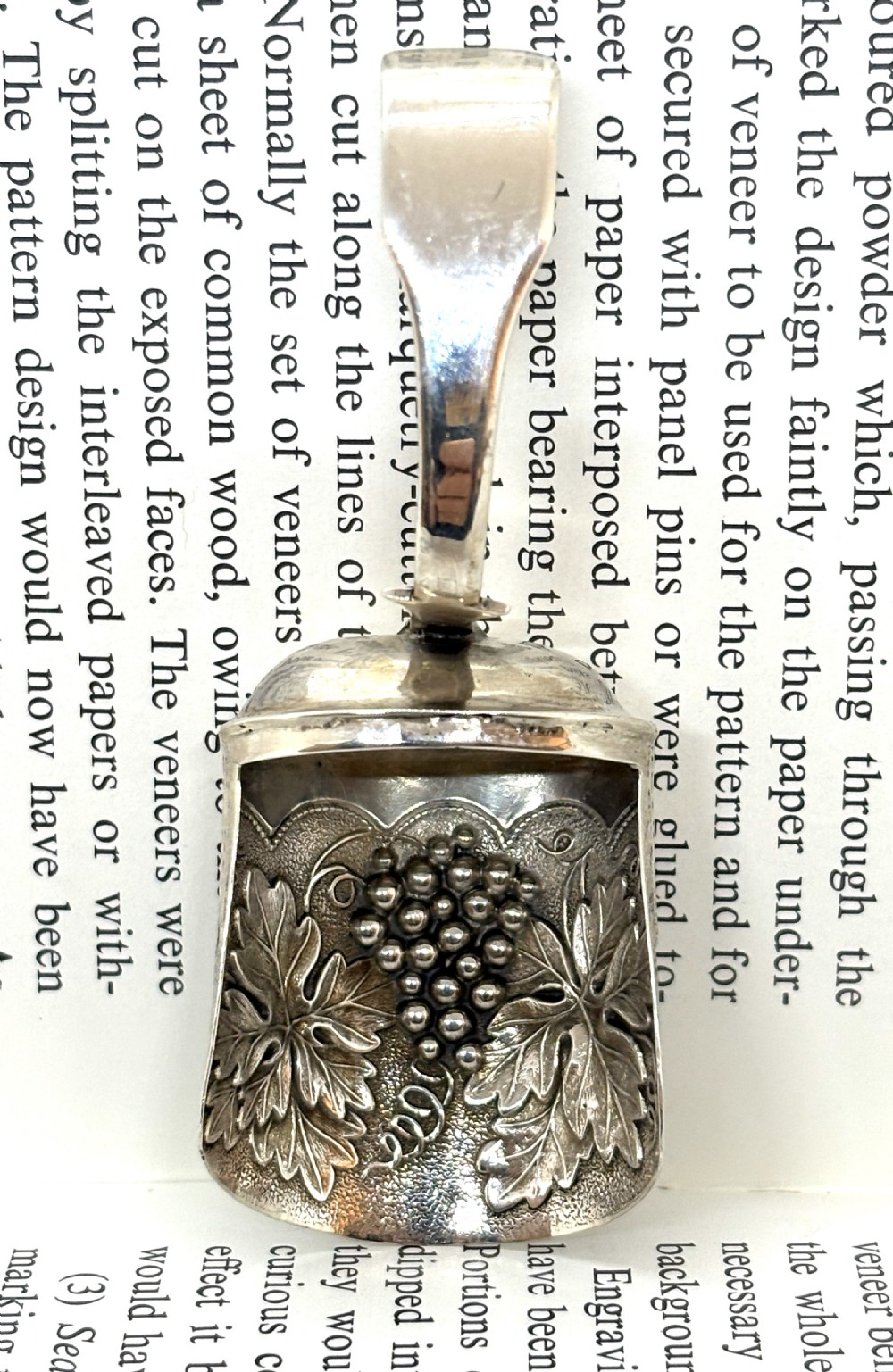 Georgian Silver Tea Caddy Spoon