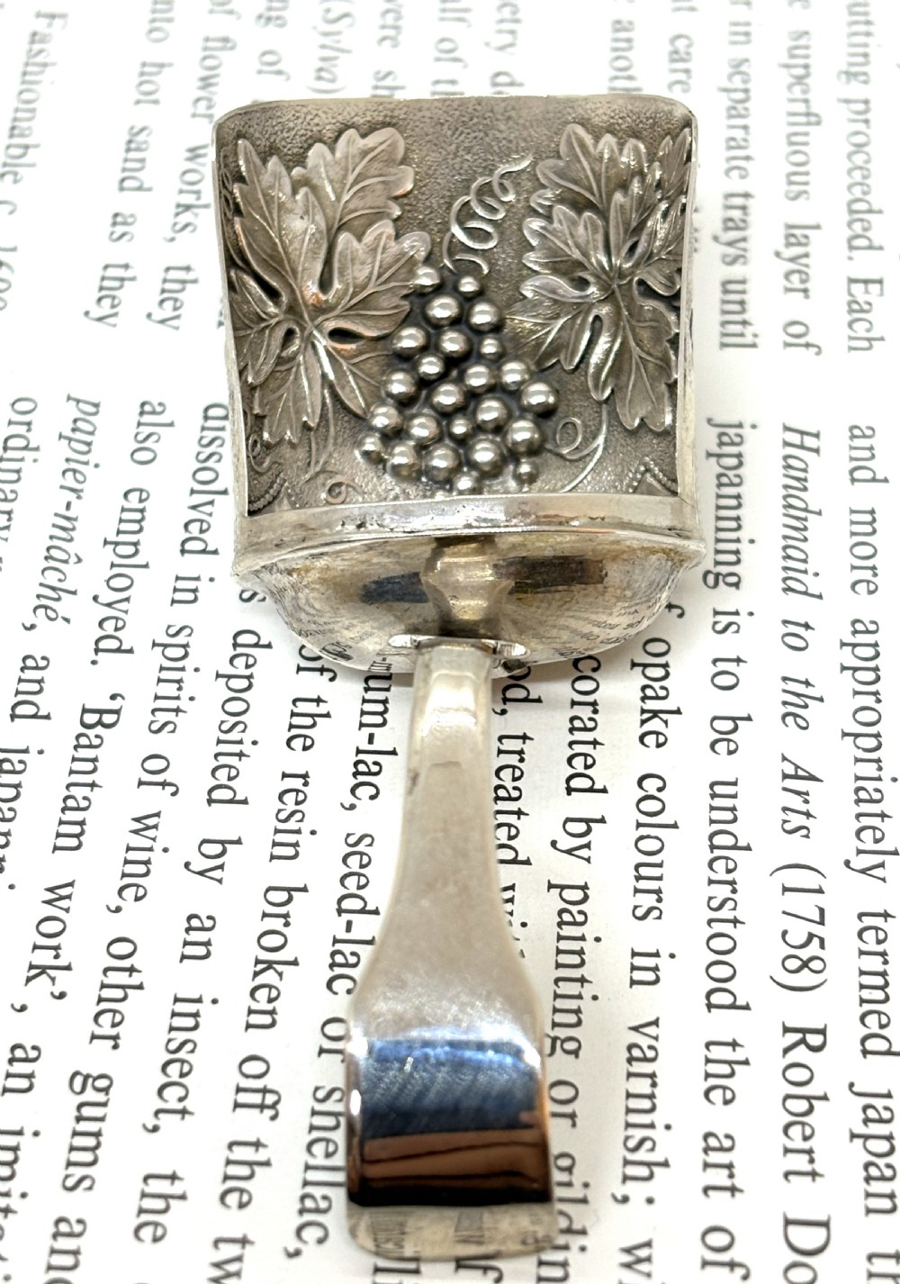 Georgian Silver Tea Caddy Spoon View IV