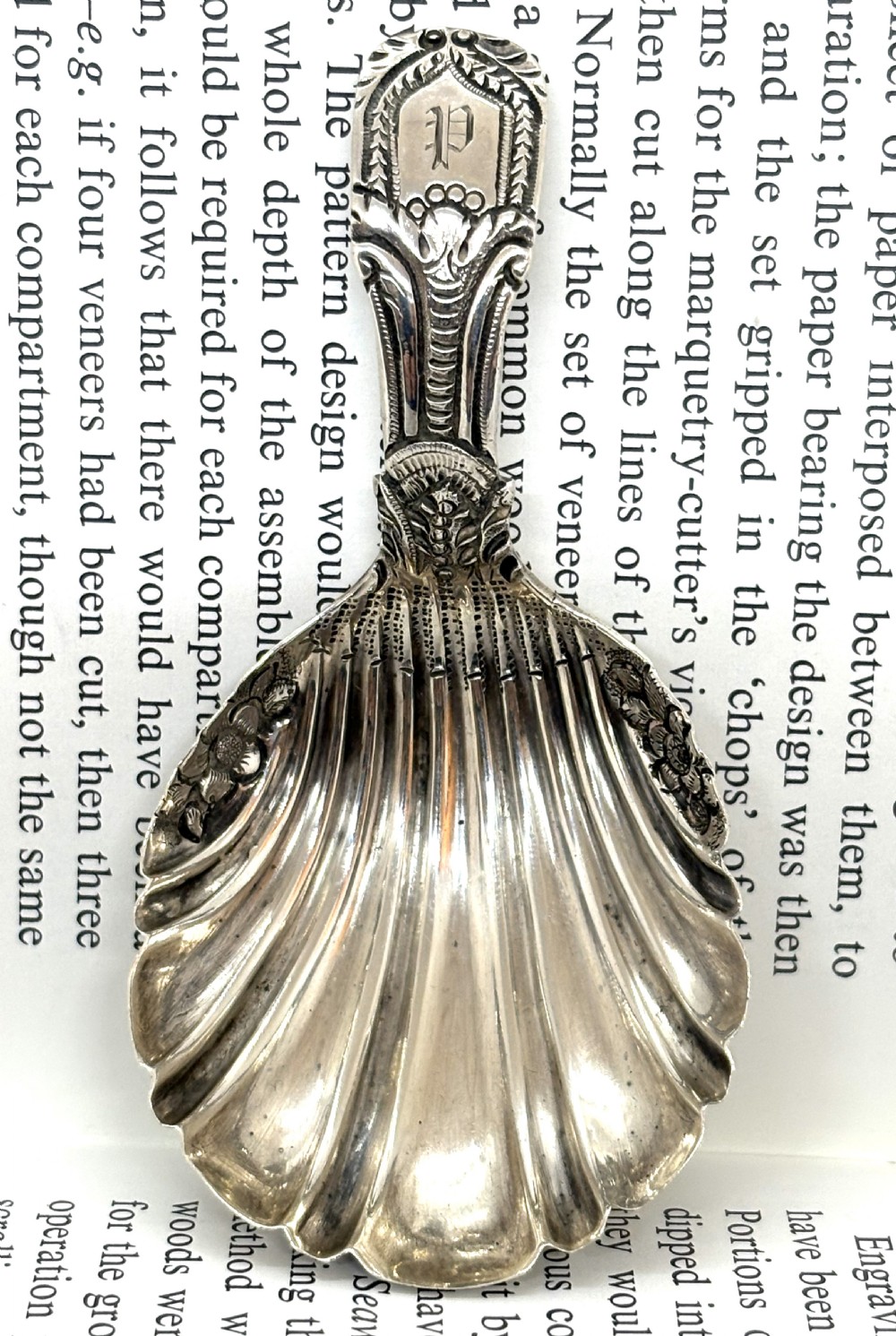 Georgian Silver Tea Caddy Spoon View II