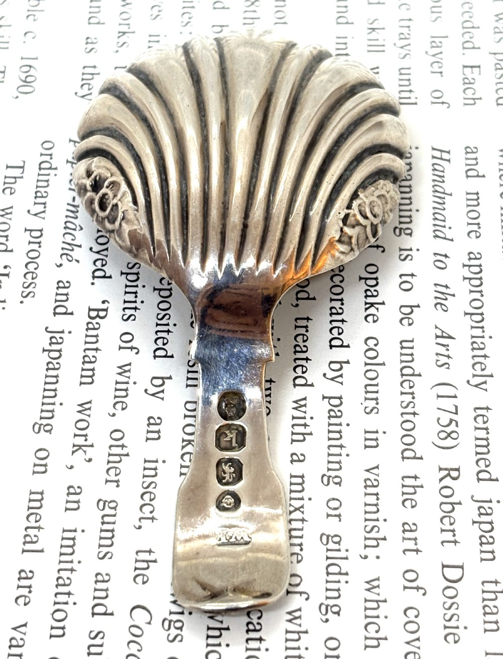 Georgian Silver Tea Caddy Spoon View IV