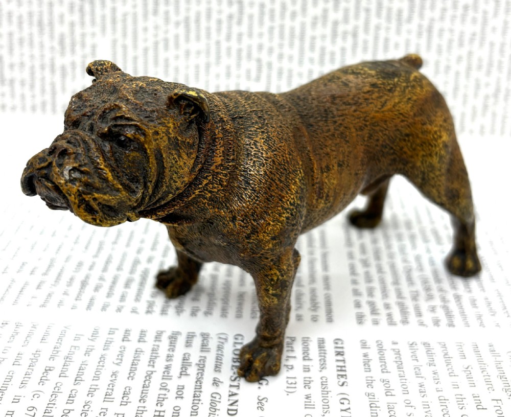 Franz Xaver Bergmann Cold Painted Bronze Bulldog.