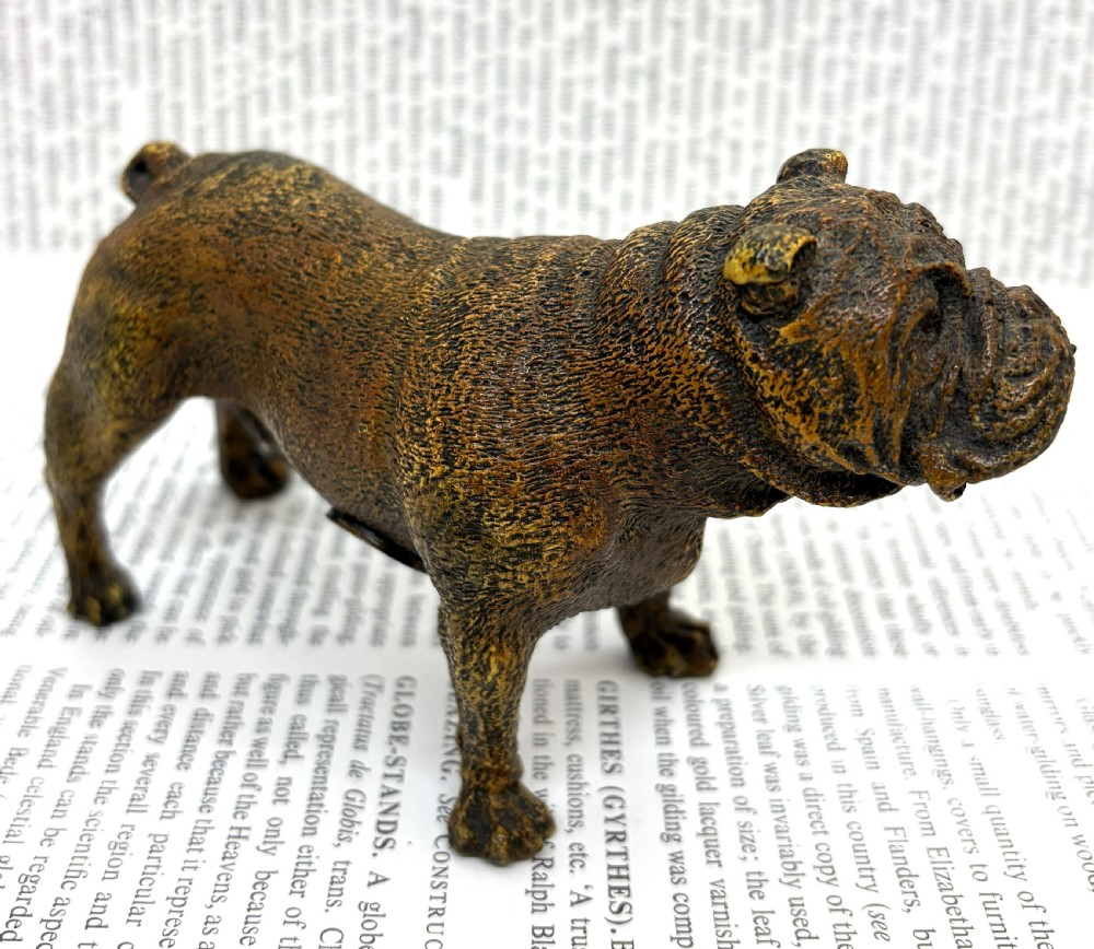 Franz Xaver Bergmann Cold Painted Bronze Bulldog. View II
