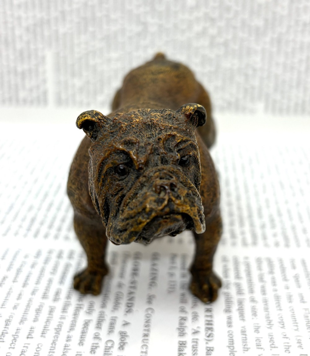 Franz Xaver Bergmann Cold Painted Bronze Bulldog. View III