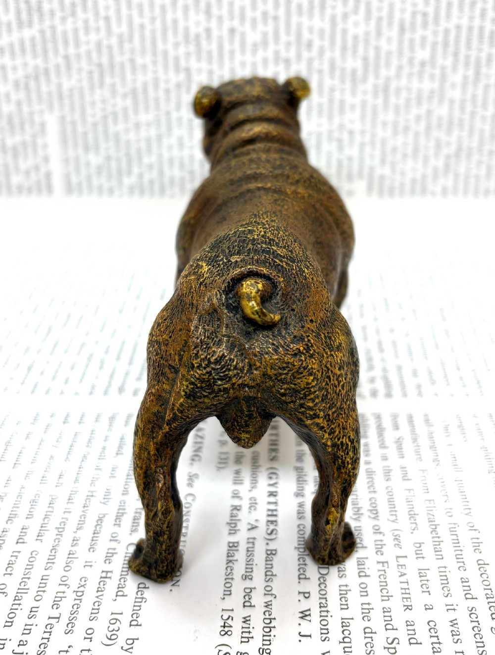 Franz Xaver Bergmann Cold Painted Bronze Bulldog. View IV