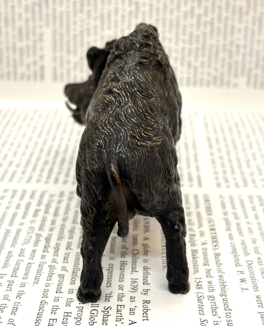 Austrian Cold Painted Wild Boar View IV
