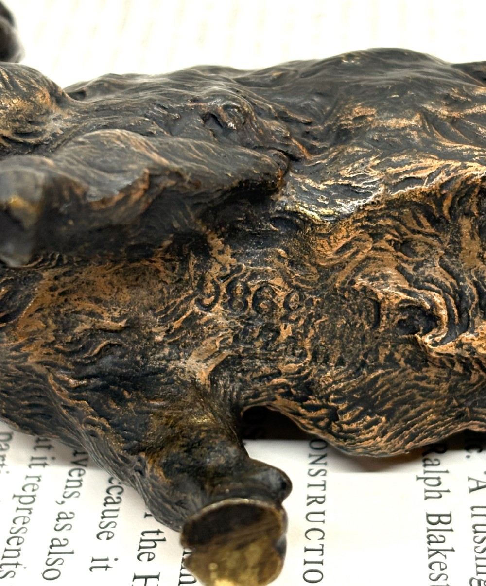 Austrian Cold Painted Wild Boar View VI