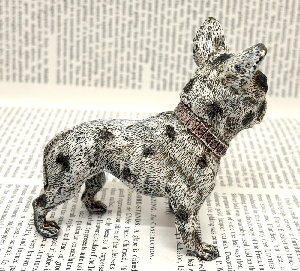 Franz Xaver Bergmann Cold Painted Bronze French Bulldog View II
