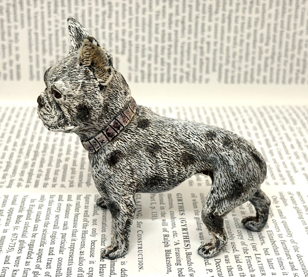 Franz Xaver Bergmann Cold Painted Bronze French Bulldog View III