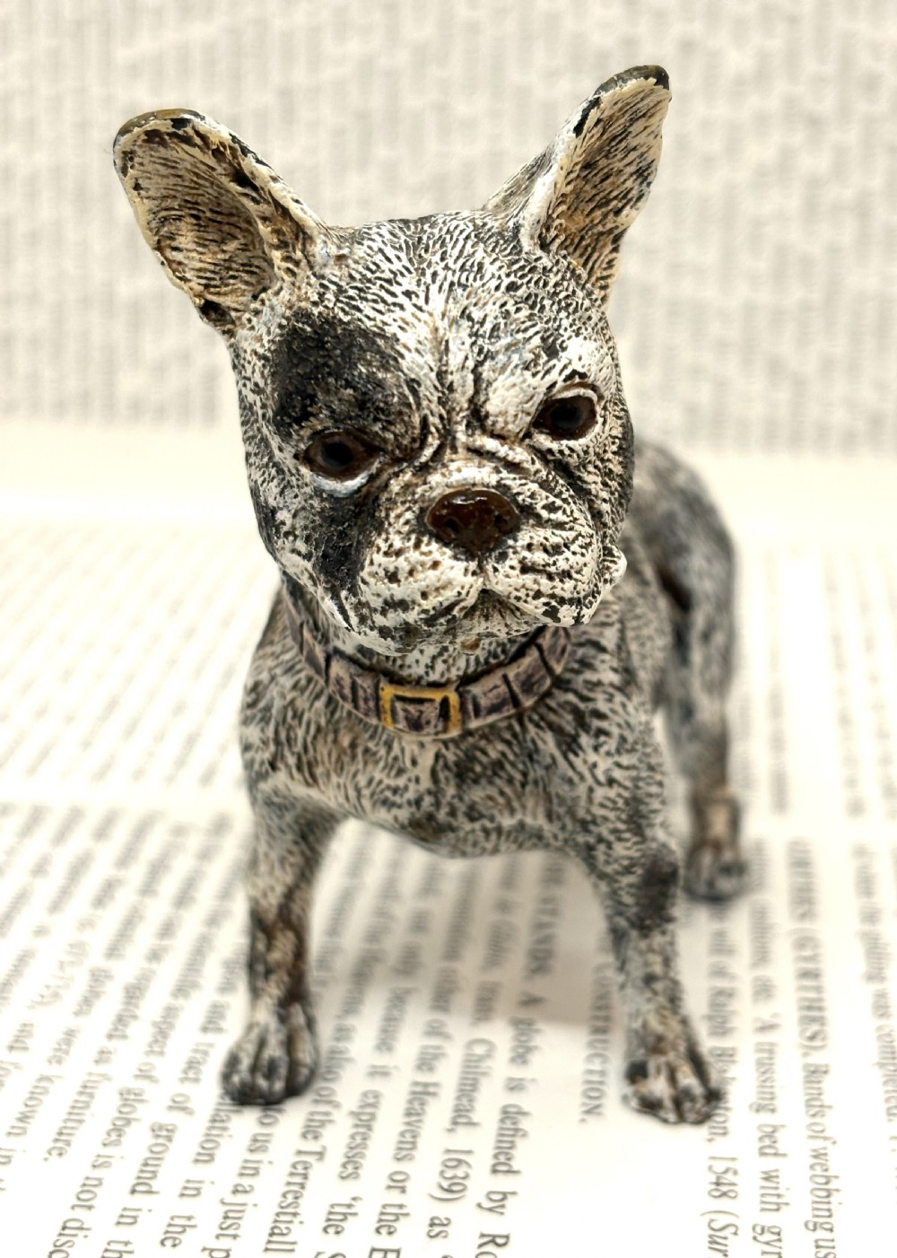 Franz Xaver Bergmann Cold Painted Bronze French Bulldog View IV
