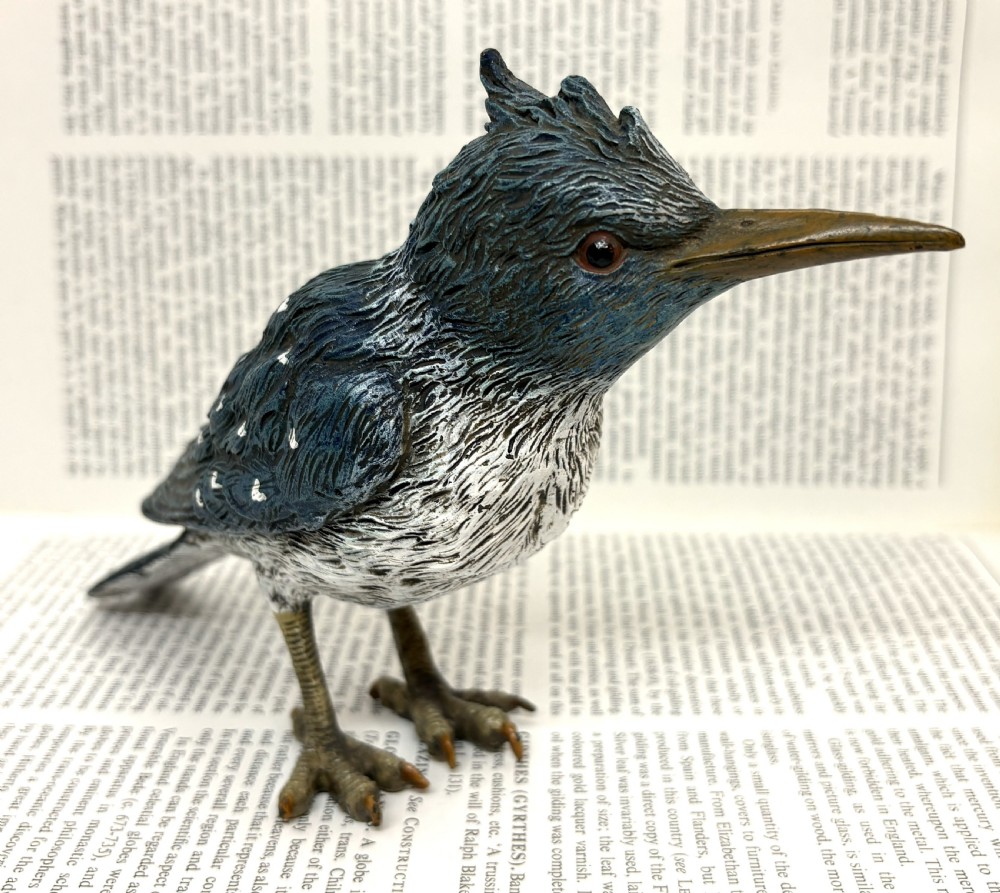Large Franz Xaver Bergmann Cold Painted Bronze Kingfisher View II