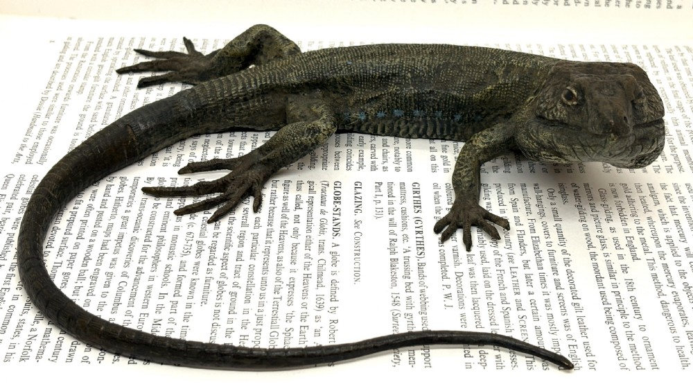 Large Franz Xaver Bergmann Cold Painted Bronze Lizard