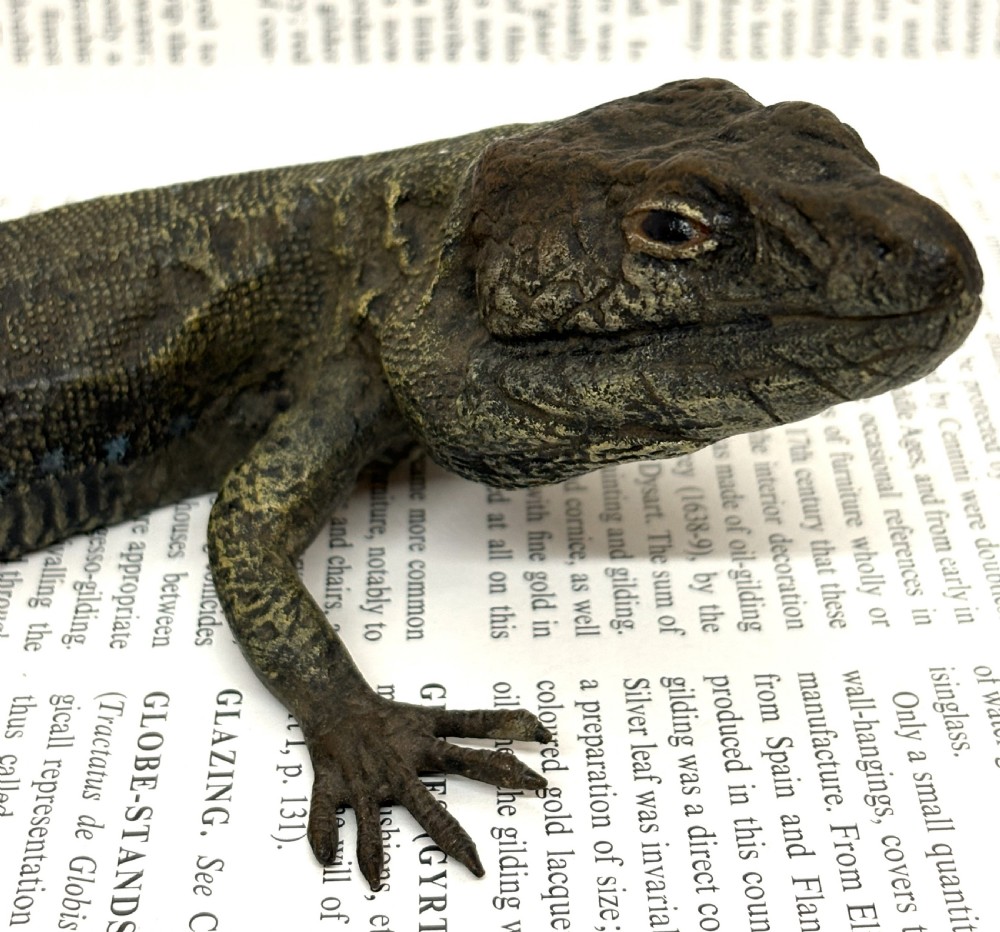 Large Franz Xaver Bergmann Cold Painted Bronze Lizard View III