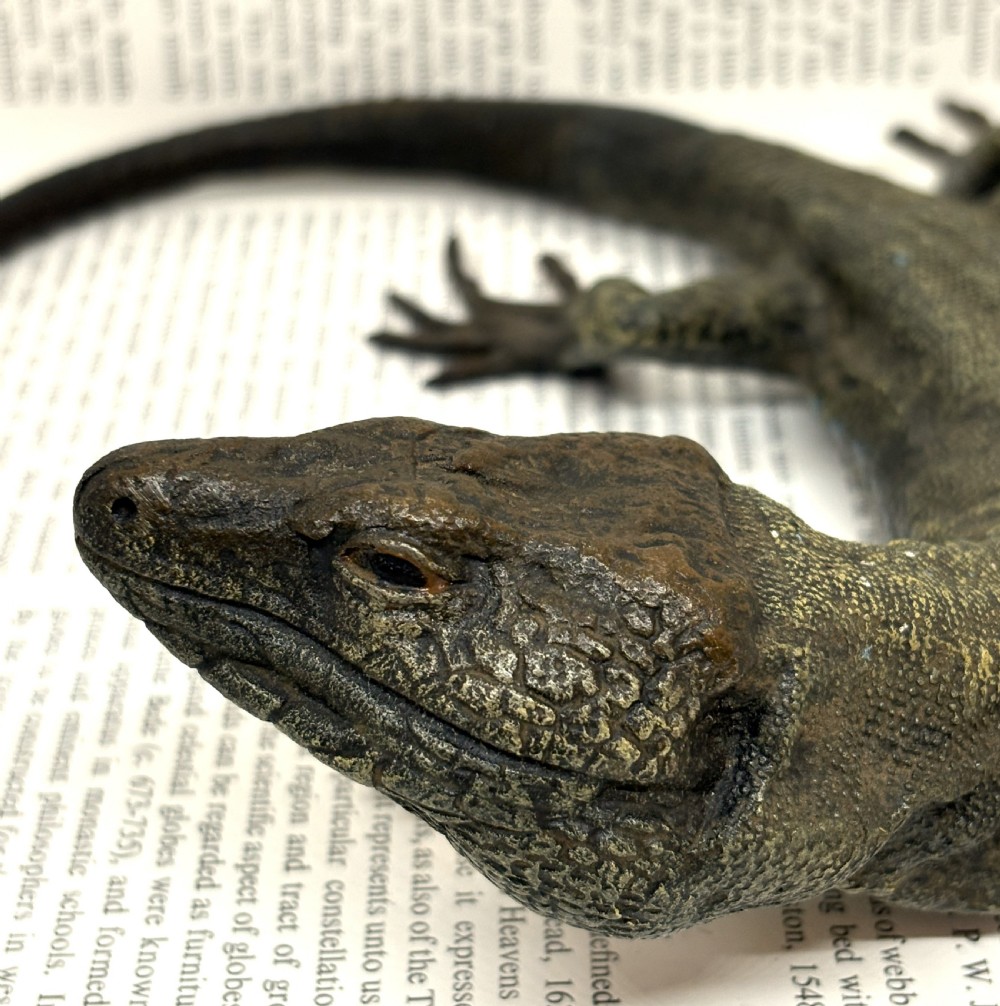 Large Franz Xaver Bergmann Cold Painted Bronze Lizard View IV