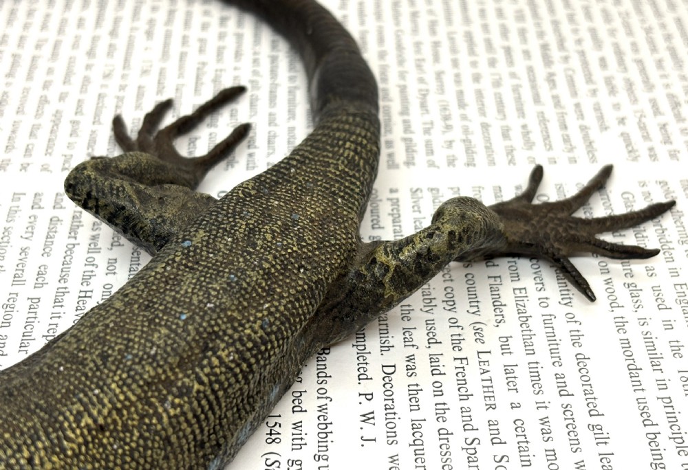 Large Franz Xaver Bergmann Cold Painted Bronze Lizard View VI