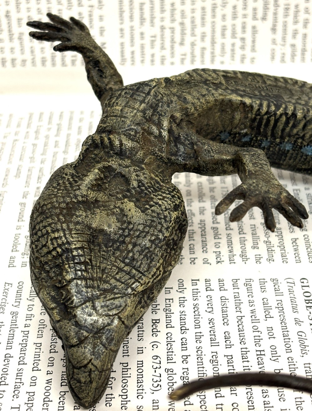 Large Franz Xaver Bergmann Cold Painted Bronze Lizard View VIII