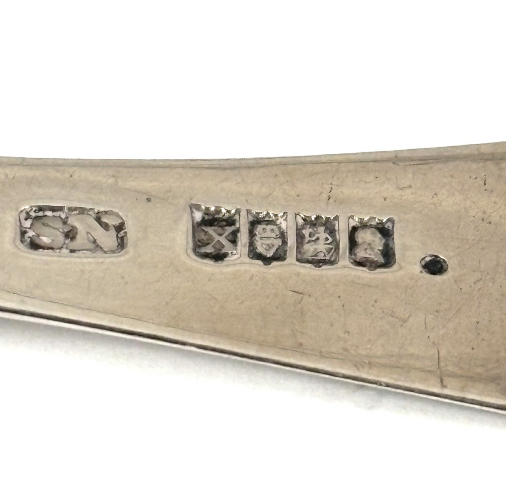 Irish Georgian Silver Caddy Spoon View IV