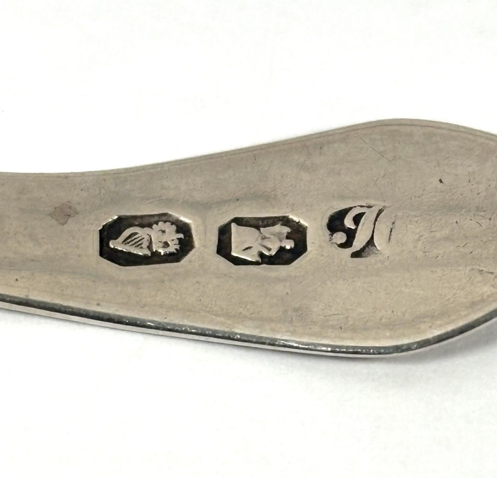 Irish Georgian Silver Caddy Spoon View V