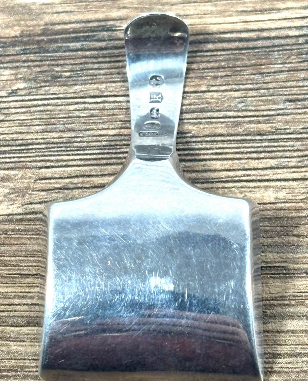 Georgian Silver Caddy Spoon View III