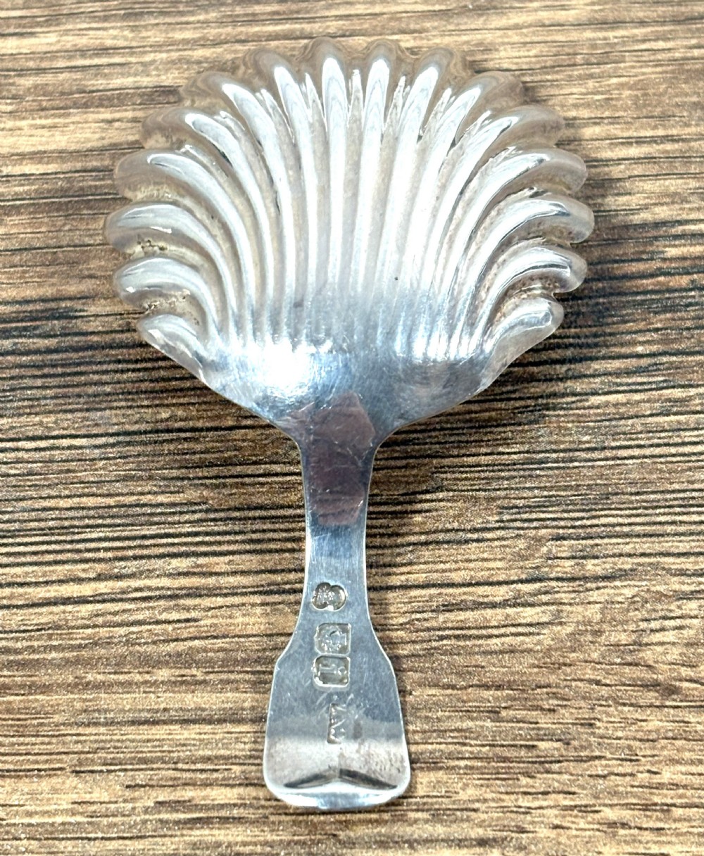 Georgian Scottish Silver Caddy Spoon View III