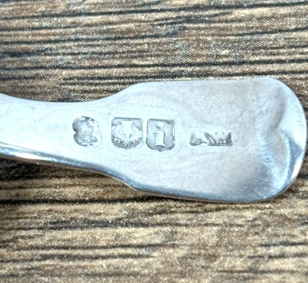 Georgian Scottish Silver Caddy Spoon View V