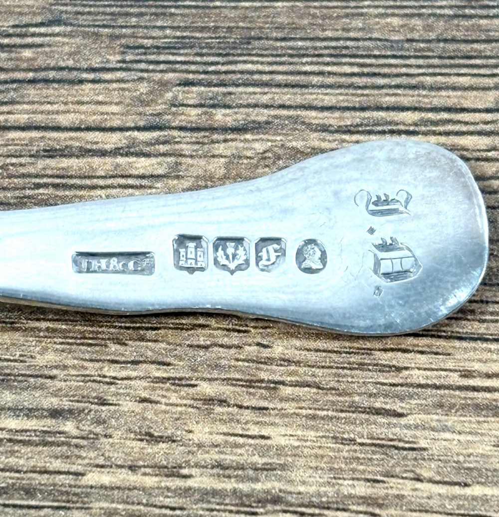William IV Scottish Silver Caddy Spoon View V