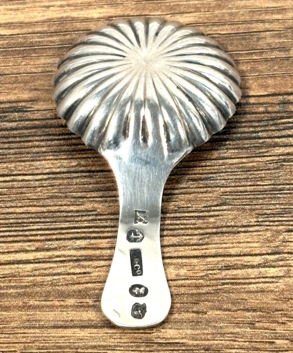 A Georgian sterling silver caddy spoon featuring a fluted shell-shaped bowl and a short handle with engraved leaf detail. View III