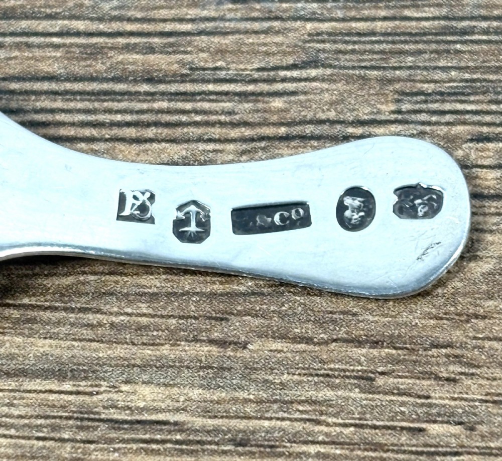A Georgian sterling silver caddy spoon featuring a fluted shell-shaped bowl and a short handle with engraved leaf detail. View V