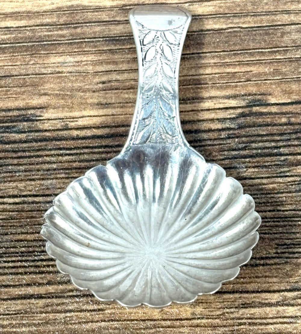A Georgian sterling silver caddy spoon featuring a fluted shell-shaped bowl and an engraved leaf-pattern handle. View II