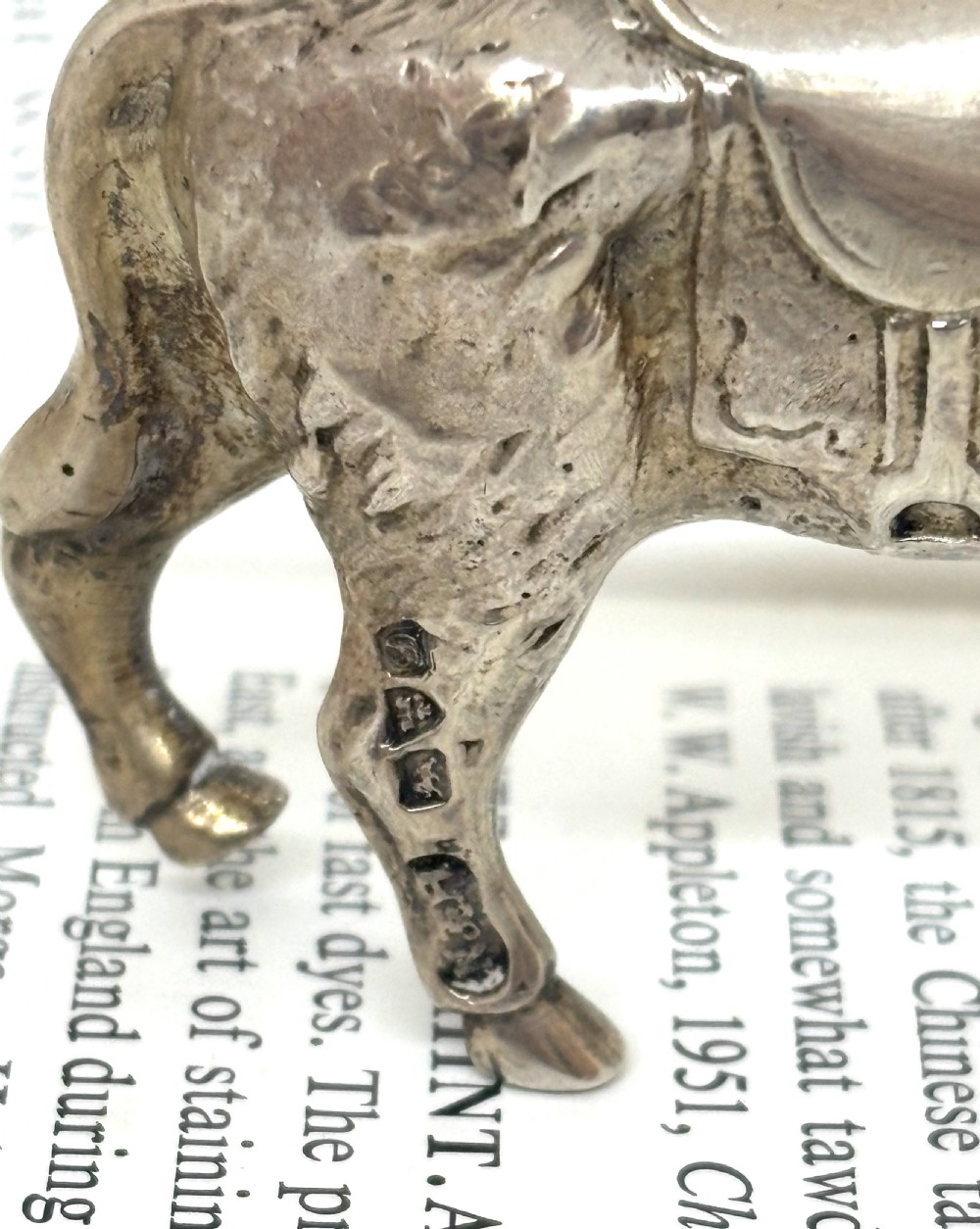 Chester Silver Edwardian Donkey View V