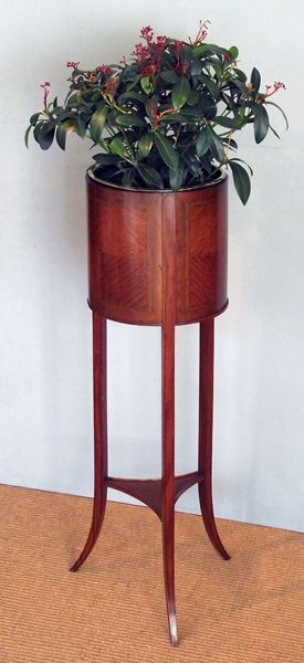 Edwardian Satinwood Jardinière