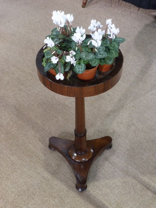 fig 1. William IV rosewood jardinière table