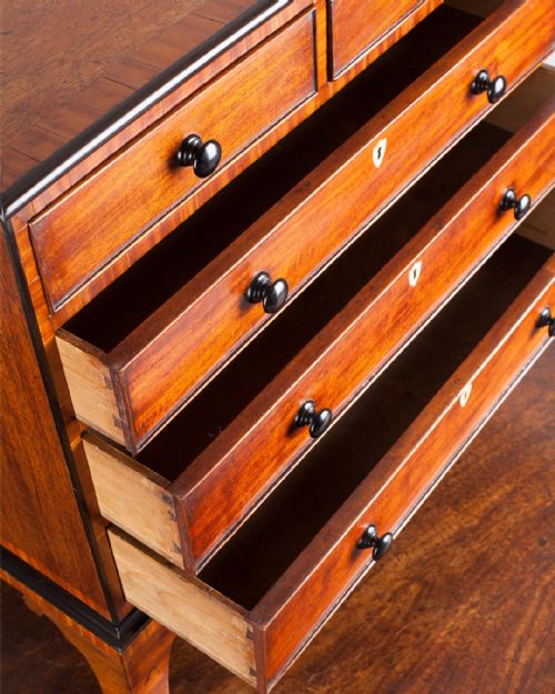 REGENCY MAHOGANY MINIATURE CHEST OF DRAWERS - ADDITIONAL PHOTO 5