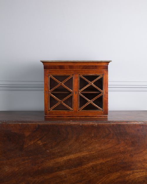 19TH CENTURY MAHOGANY WALL HANGING CABINET - ADDITIONAL PHOTO 3