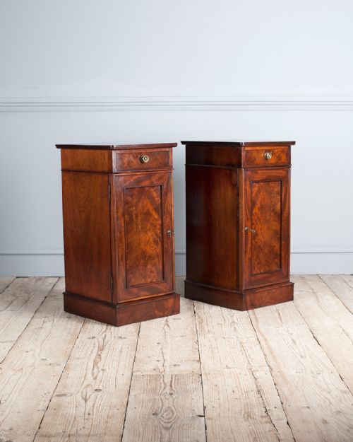 PAIR OF 19TH CENTURY MAHOGANY BEDSIDE CUPBOARDS - ADDITIONAL PHOTO 1