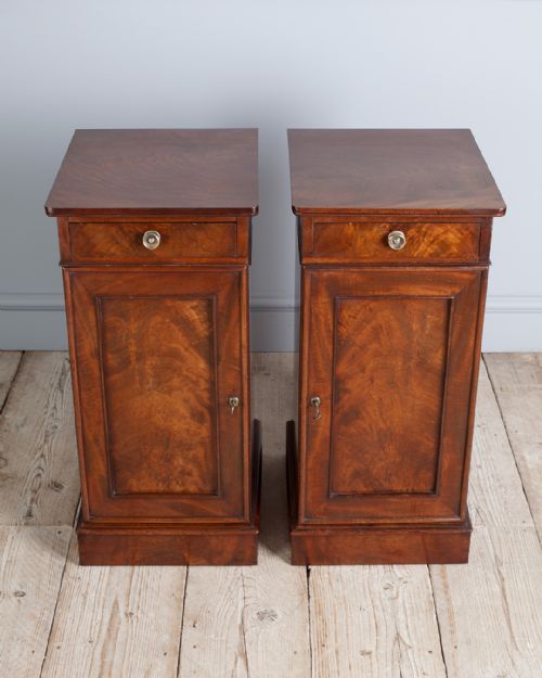 PAIR OF 19TH CENTURY MAHOGANY BEDSIDE CUPBOARDS - ADDITIONAL PHOTO 2