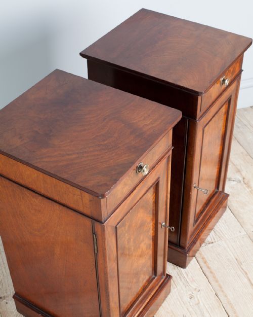 PAIR OF 19TH CENTURY MAHOGANY BEDSIDE CUPBOARDS - ADDITIONAL PHOTO 3