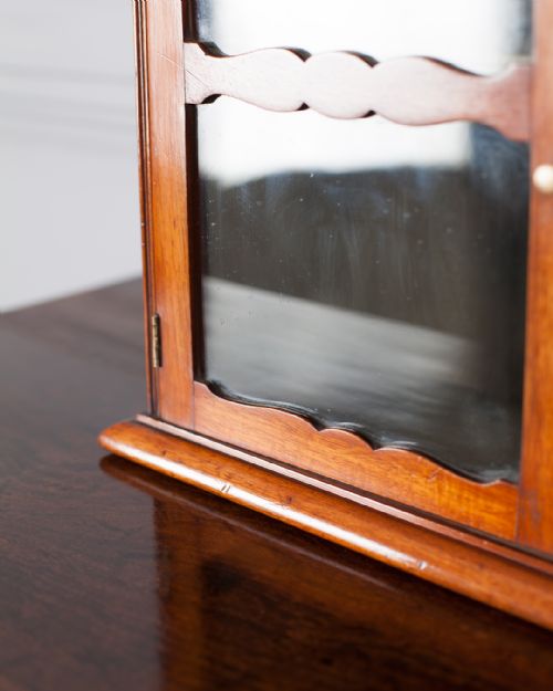 19TH CENTURY MAHOGANY GLAZED WALL CUPBOARD - ADDITIONAL PHOTO 3