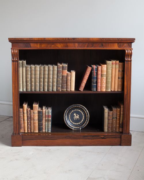 SMALL WILLIAM IV ROSEWOOD DWARF OPEN BOOKCASE - ADDITIONAL PHOTO 2