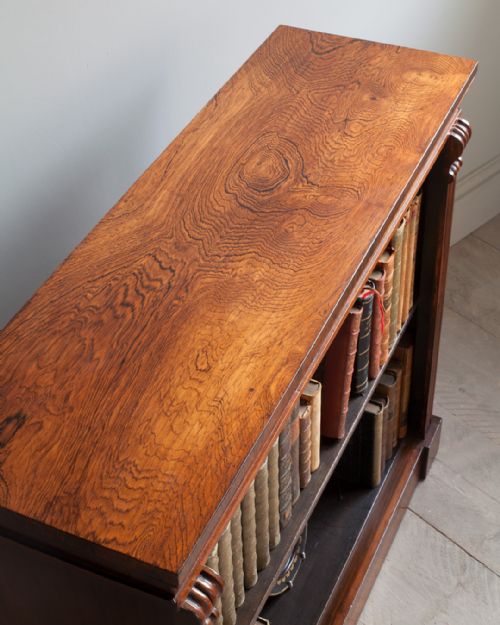 SMALL WILLIAM IV ROSEWOOD DWARF OPEN BOOKCASE - ADDITIONAL PHOTO 5