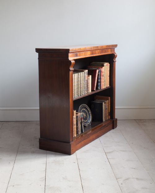 SMALL WILLIAM IV ROSEWOOD DWARF OPEN BOOKCASE - ADDITIONAL PHOTO 7