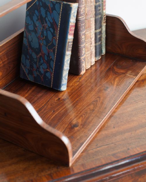 CHARMING LATE 18TH CENTURY KINGWOOD BOOK CARRIER - ADDITIONAL PHOTO 3