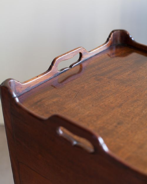 PAIR OF EARLY 19TH CENTURY MAHOGANY BEDSIDE CUPBOARDS - ADDITIONAL PHOTO 6