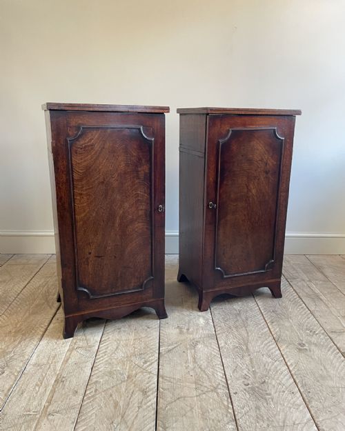 pair of georgian mahogany pedestal cabinets - CATEGORY: ANTIQUE CUPBOARDS - DATED 19TH CENTURY