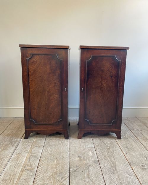 PAIR OF GEORGIAN MAHOGANY PEDESTAL CABINETS - ADDITIONAL PHOTO 1