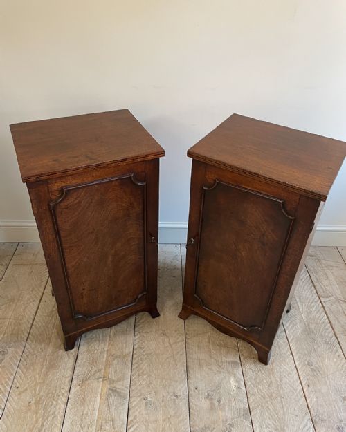 PAIR OF GEORGIAN MAHOGANY PEDESTAL CABINETS - ADDITIONAL PHOTO 3
