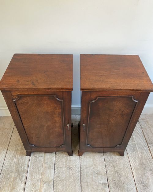 PAIR OF GEORGIAN MAHOGANY PEDESTAL CABINETS - ADDITIONAL PHOTO 4