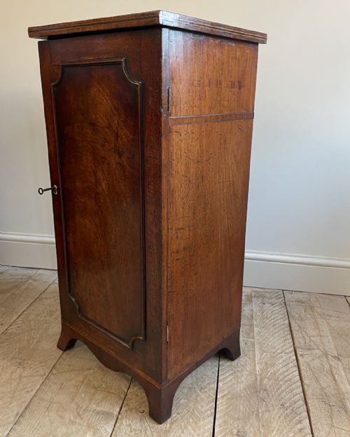 PAIR OF GEORGIAN MAHOGANY PEDESTAL CABINETS - ADDITIONAL PHOTO 6