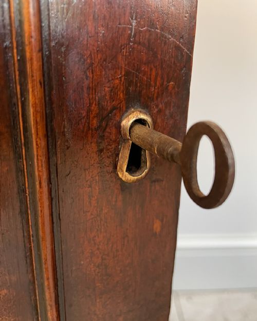 PAIR OF GEORGIAN MAHOGANY PEDESTAL CABINETS - ADDITIONAL PHOTO 9